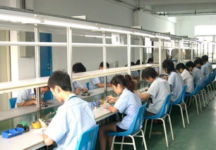 10.1英寸A9平板電腦 1GB內(nèi)存8GB存儲，1080P全高清Android 4.0.3設(shè)備全面解析